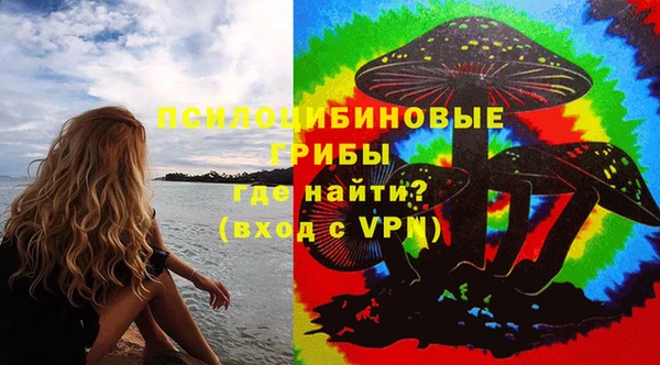 дживик Алексин
